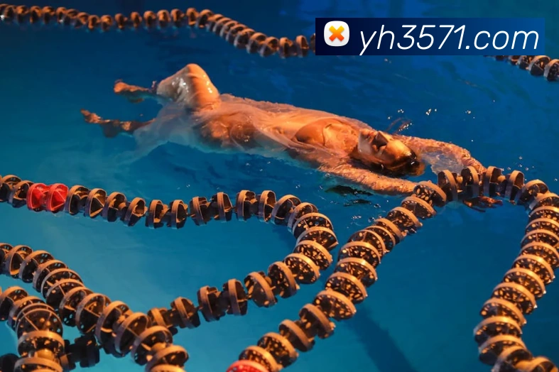 奖项图2